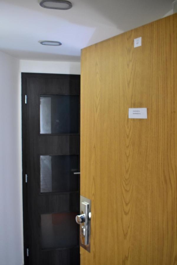 New Central Rooftop With Private Wellness, Sauna & Whirlpool Bath プラハ エクステリア 写真