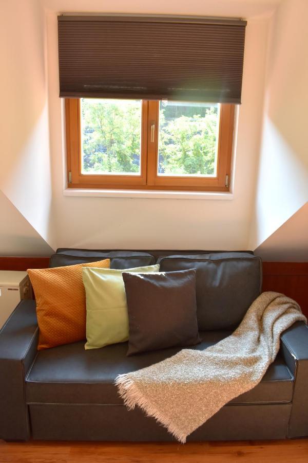 New Central Rooftop With Private Wellness, Sauna & Whirlpool Bath プラハ エクステリア 写真